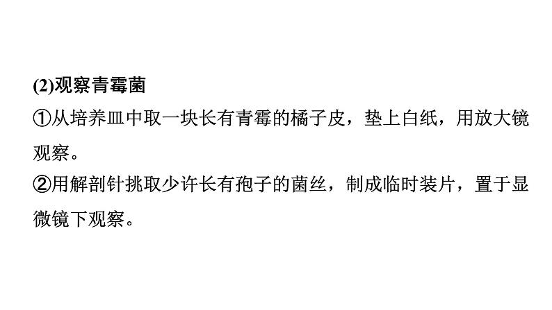 2024广东中考生物二轮中考考点研究 第18讲 细菌、真菌和病毒(课件)第8页
