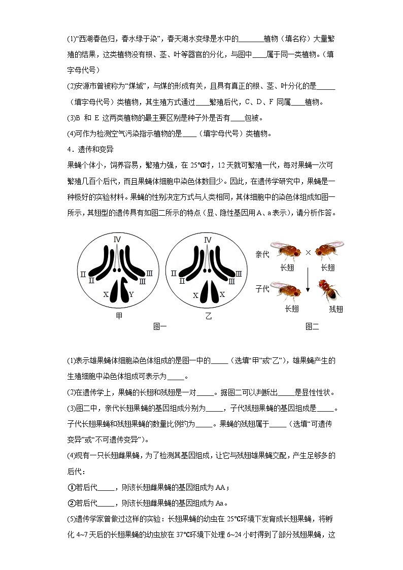 2024年中考生物專題復(fù)習(xí):綜合題(含答案)第2頁