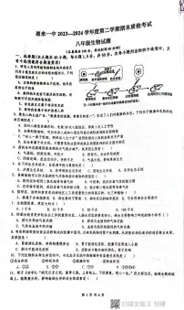 广东省揭阳市惠来县第一中学2023-2024学年八年级下学期6月期末考试生物试题