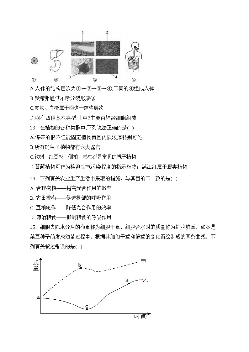 湖南省邵阳市邵阳县2023-2024学年七年级上学期期末质量监测生物试卷(含答案)第3页