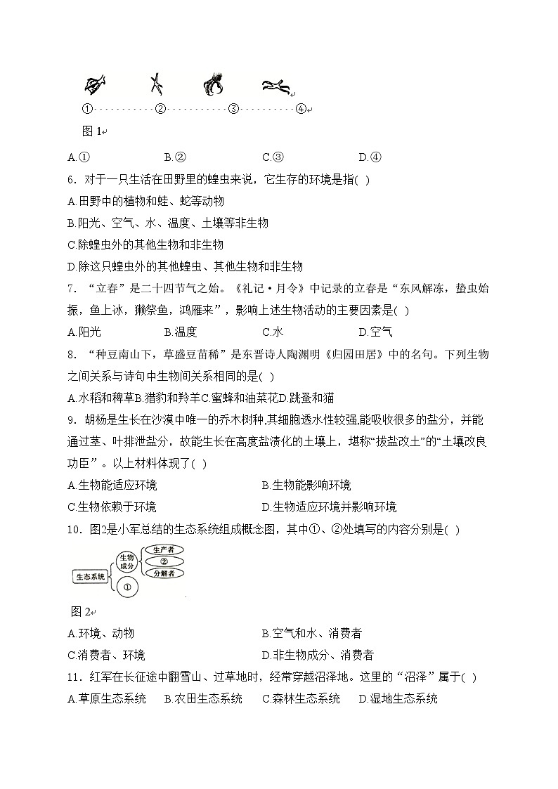 江苏省徐州市丰县2023-2024学年七年级上学期期中考试生物试卷(含答案)第2页