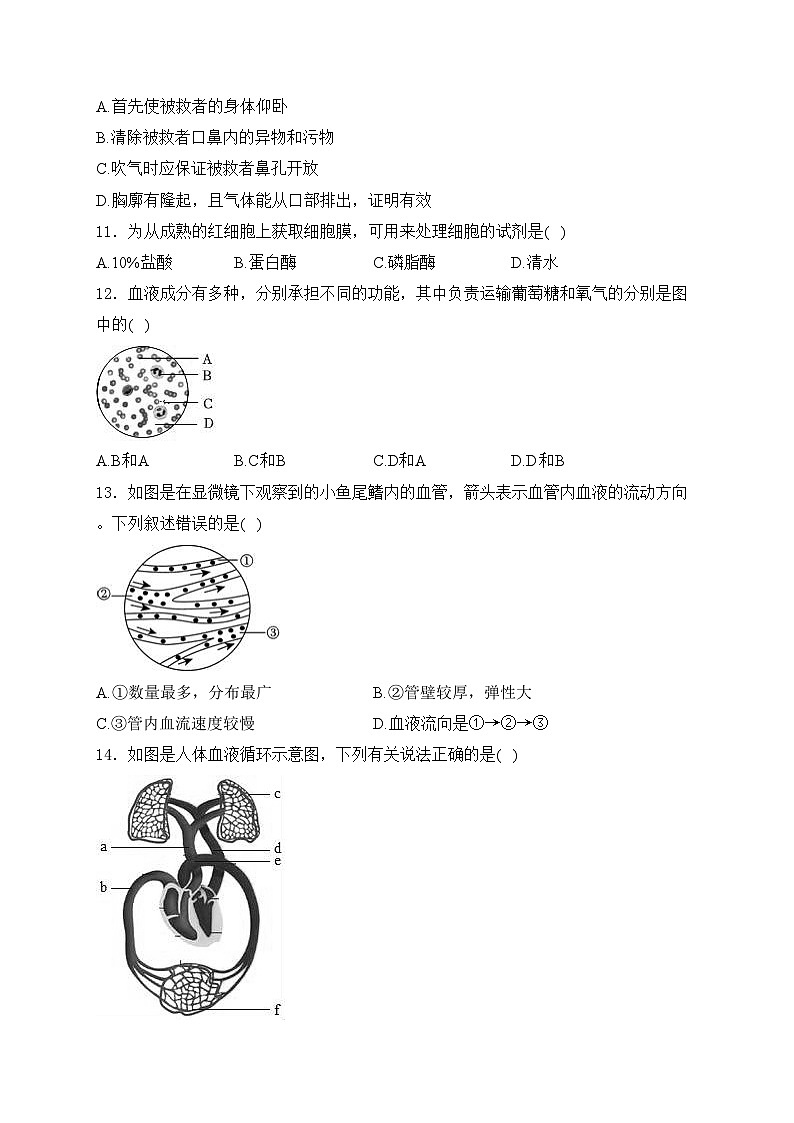 四川省綿陽市江油市八校聯(lián)考2023-2024學(xué)年七年級(jí)下學(xué)期6月期末考試生物試卷(含答案)第3頁