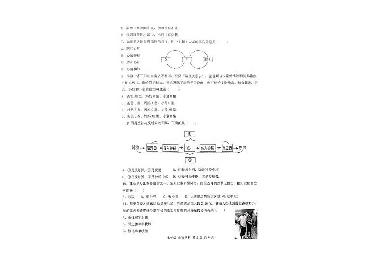 辽宁省沈阳市协作体2023-2024学年七年级下学期期末学情调研生物试卷第2页
