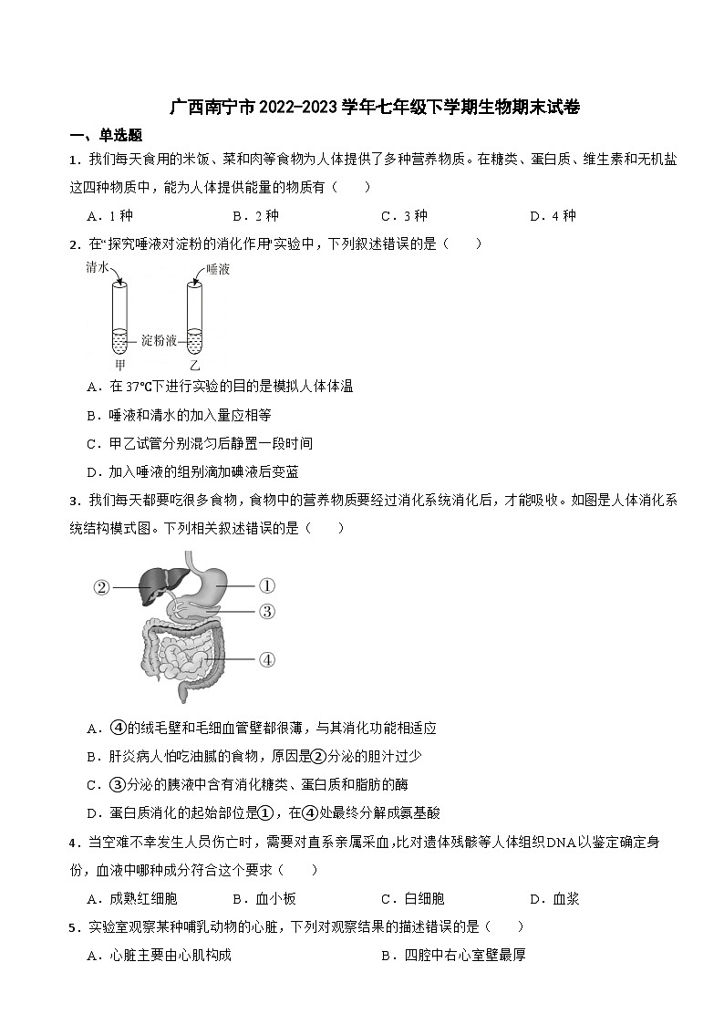 广西南宁市2024年七年级下学期生物期末试卷附答案第1页