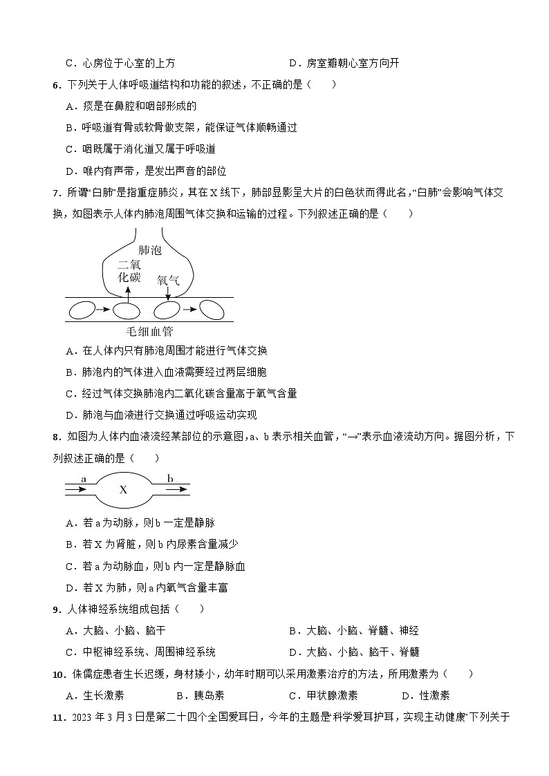 广西南宁市2024年七年级下学期生物期末试卷附答案第2页