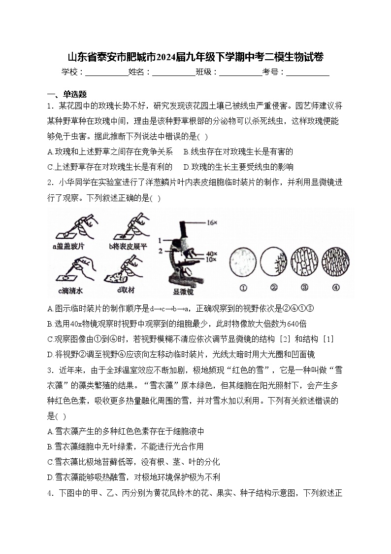 山东省泰安市肥城市2024届九年级下学期中考二模生物试卷(含答案)