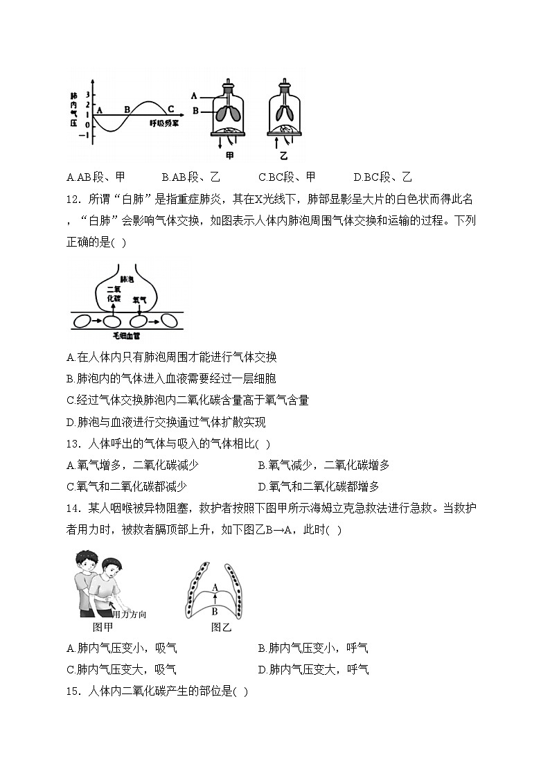 四川省内江市第六中学2023-2024学年七年级下学期期中考试生物试卷(含答案)第3页