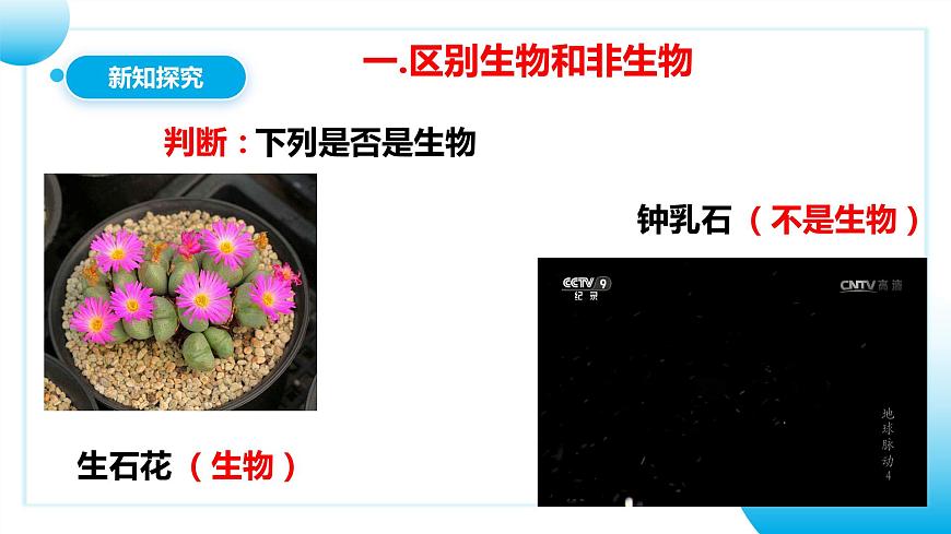 人教版初中生物七年級(jí)上冊(cè)1.1.2《生物的特征》課件第6頁(yè)