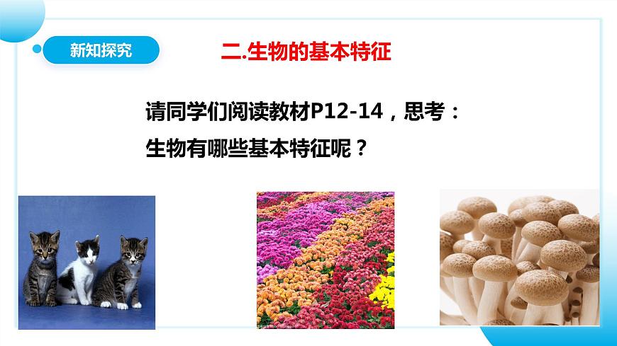 人教版初中生物七年級(jí)上冊(cè)1.1.2《生物的特征》課件第8頁(yè)