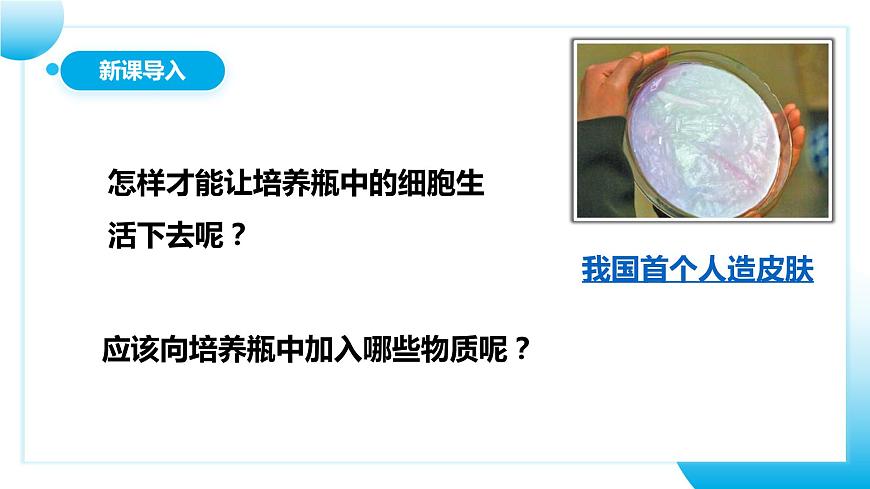 人教版初中生物七年級(jí)上冊(cè)1.2.4《細(xì)胞的生活》課件第3頁(yè)