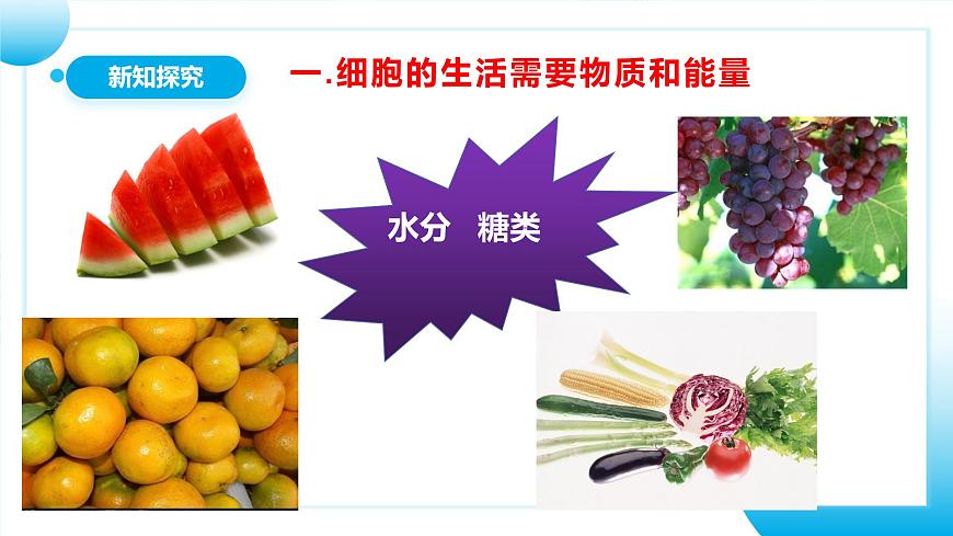 人教版初中生物七年級(jí)上冊(cè)1.2.4《細(xì)胞的生活》課件第6頁(yè)