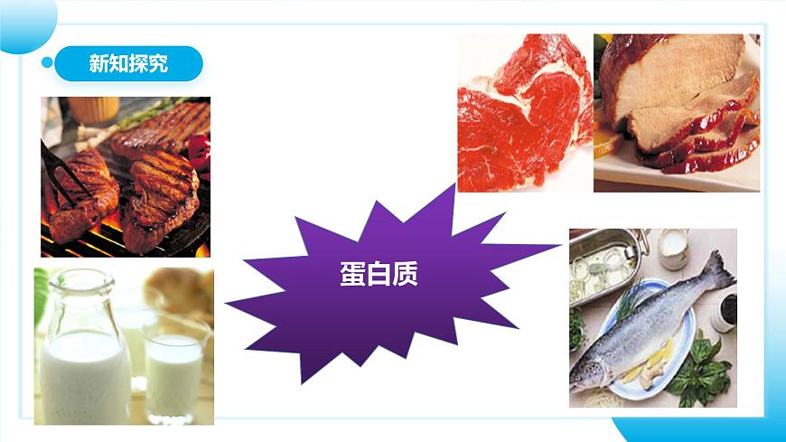 人教版初中生物七年級(jí)上冊(cè)1.2.4《細(xì)胞的生活》課件第7頁(yè)