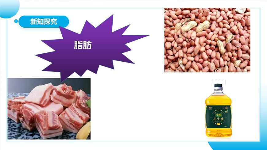 人教版初中生物七年級(jí)上冊(cè)1.2.4《細(xì)胞的生活》課件第8頁(yè)