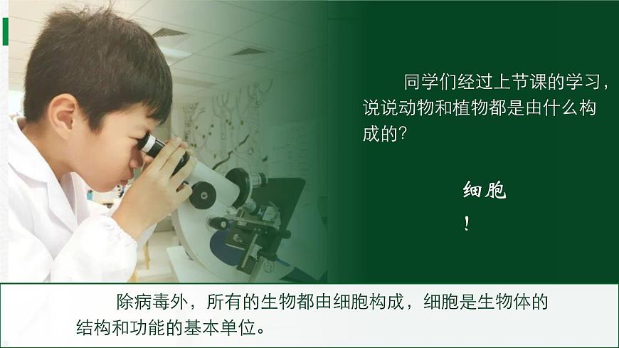 2.2.2細(xì)胞是生命活動(dòng)的單位（課件） 北師大版七上第4頁