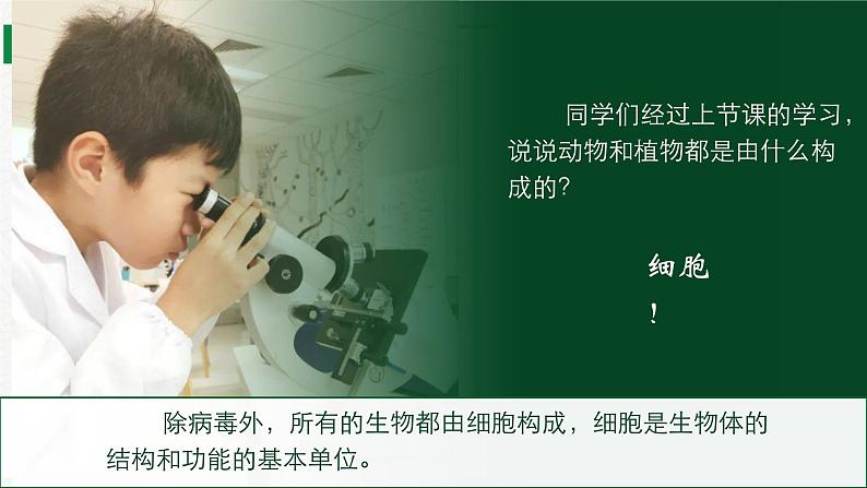 2.2.2细胞是生命活动的单位(课件+教案)北师大版 七上04