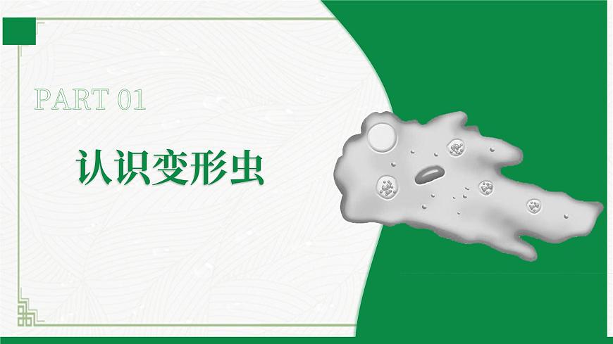 2.2.2細(xì)胞是生命活動(dòng)的單位（課件） 北師大版七上第5頁