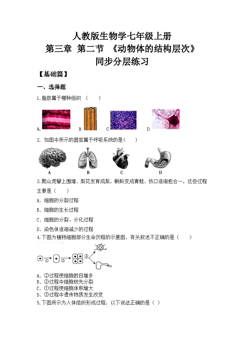 【核心素养目标】人教版初中生物七年级上册1.3.2《动物体的结构层次》 课件+视频+教学设计+同步分层练习(含答案)01