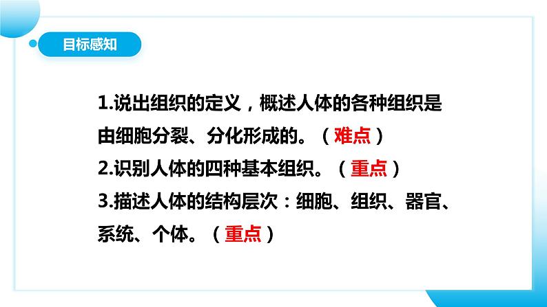 【核心素养目标】人教版初中生物七年级上册1.3.2《动物体的结构层次》 课件+视频+教学设计+同步分层练习(含答案)04
