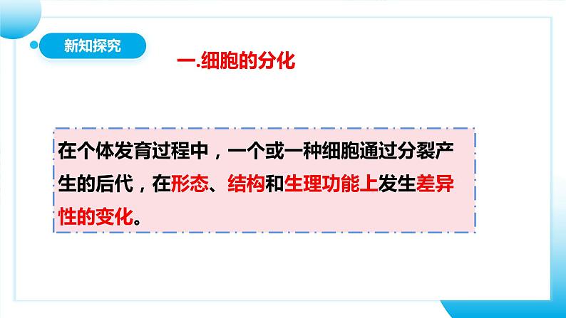 【核心素养目标】人教版初中生物七年级上册1.3.2《动物体的结构层次》 课件+视频+教学设计+同步分层练习(含答案)08