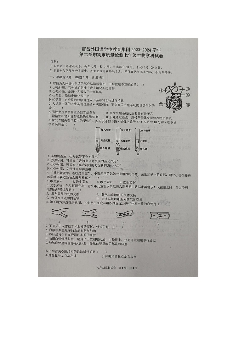 江西省南昌市外国语教育集团2023-2024学年七年级下学期期末联考生物试卷01
