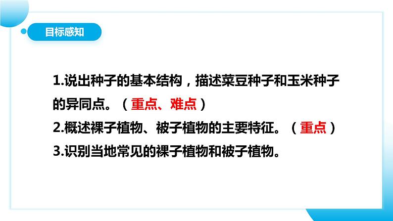【核心素养目标】人教版初中生物七年级上册2.1.2《种子植物》 课件+视频+教学设计+同步分层练习(含答案)04