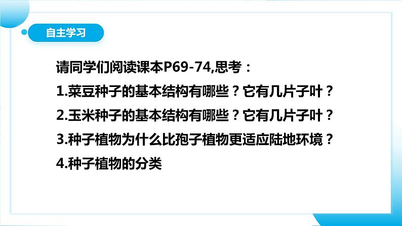 【核心素养目标】人教版初中生物七年级上册2.1.2《种子植物》 课件+视频+教学设计+同步分层练习(含答案)05