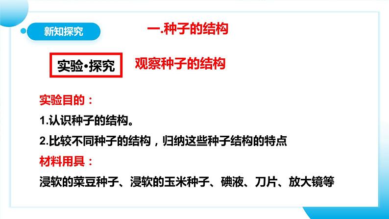 【核心素养目标】人教版初中生物七年级上册2.1.2《种子植物》 课件+视频+教学设计+同步分层练习(含答案)07