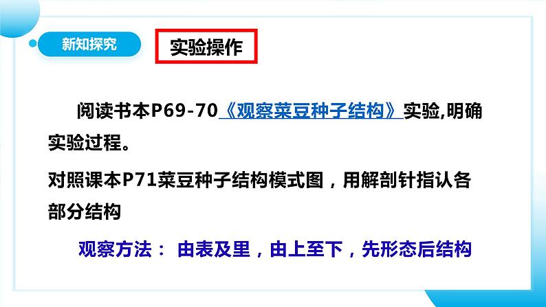 【核心素养目标】人教版初中生物七年级上册2.1.2《种子植物》 课件+视频+教学设计+同步分层练习(含答案)08