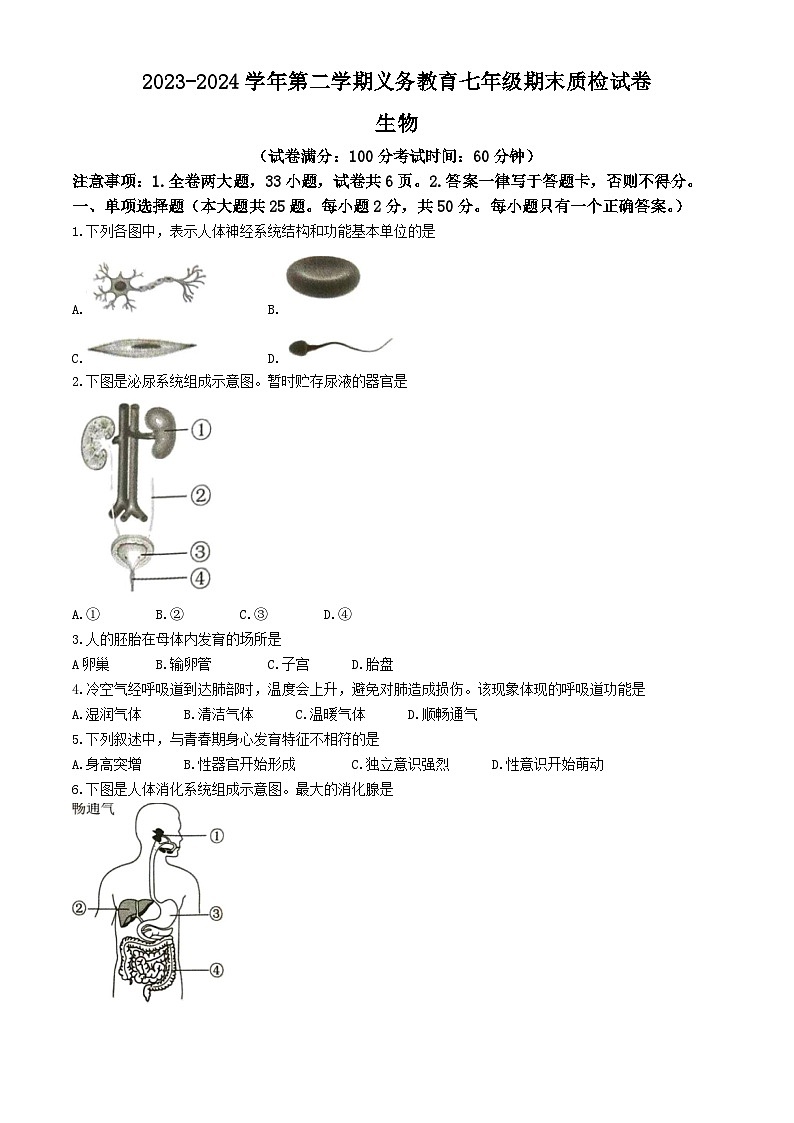 福建省厦门市2023-2024学年七年级下学期6月期末生物试题(无答案)01