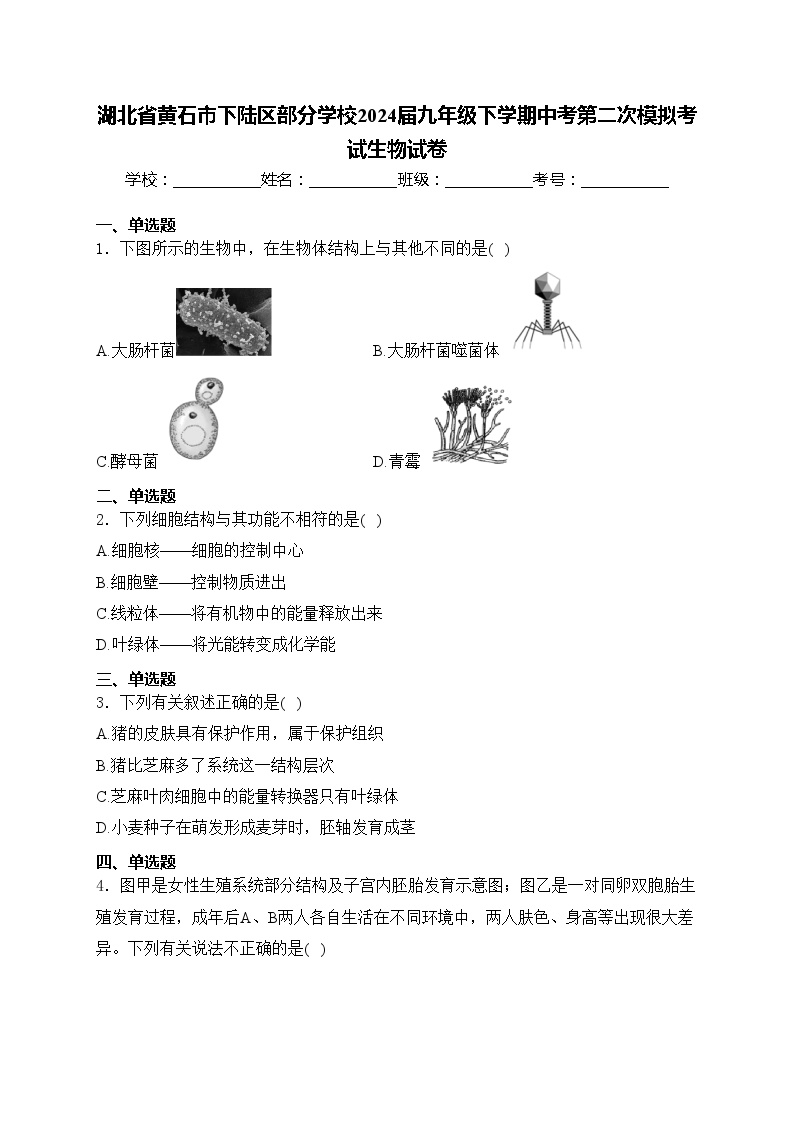 湖北省黄石市下陆区部分学校2024届九年级下学期中考第二次模拟考试生物试卷(含答案)