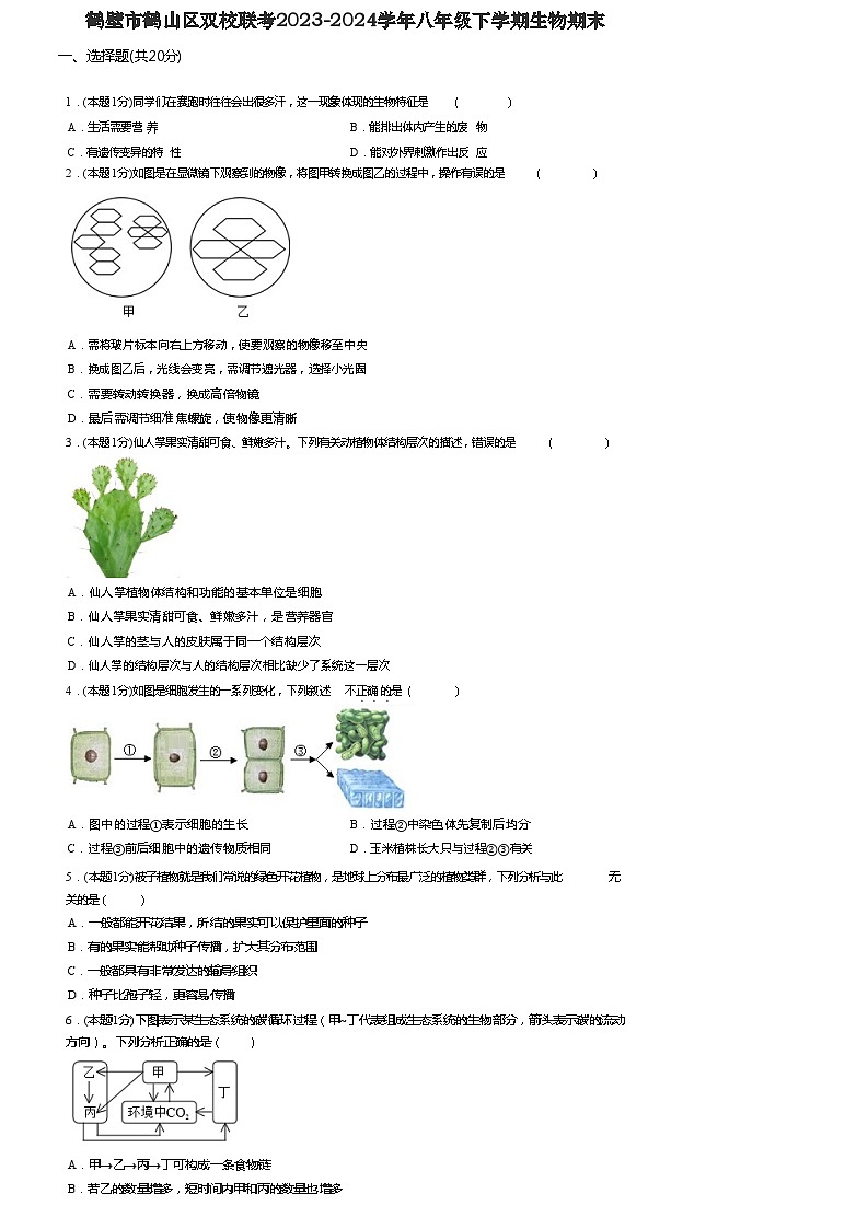 河南省鹤壁市鹤山双校联考2023-2024学年八年级下学期7月期末生物试题01