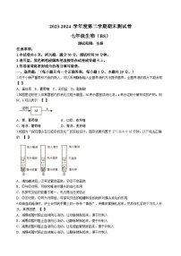 河南省商丘市虞城县城区学校2023-2024学年七年级下学期期末考试生物试卷