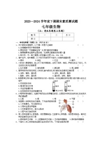 河南省驻马店市汝南县2023-2024学年七年级下学期7月期末生物试题