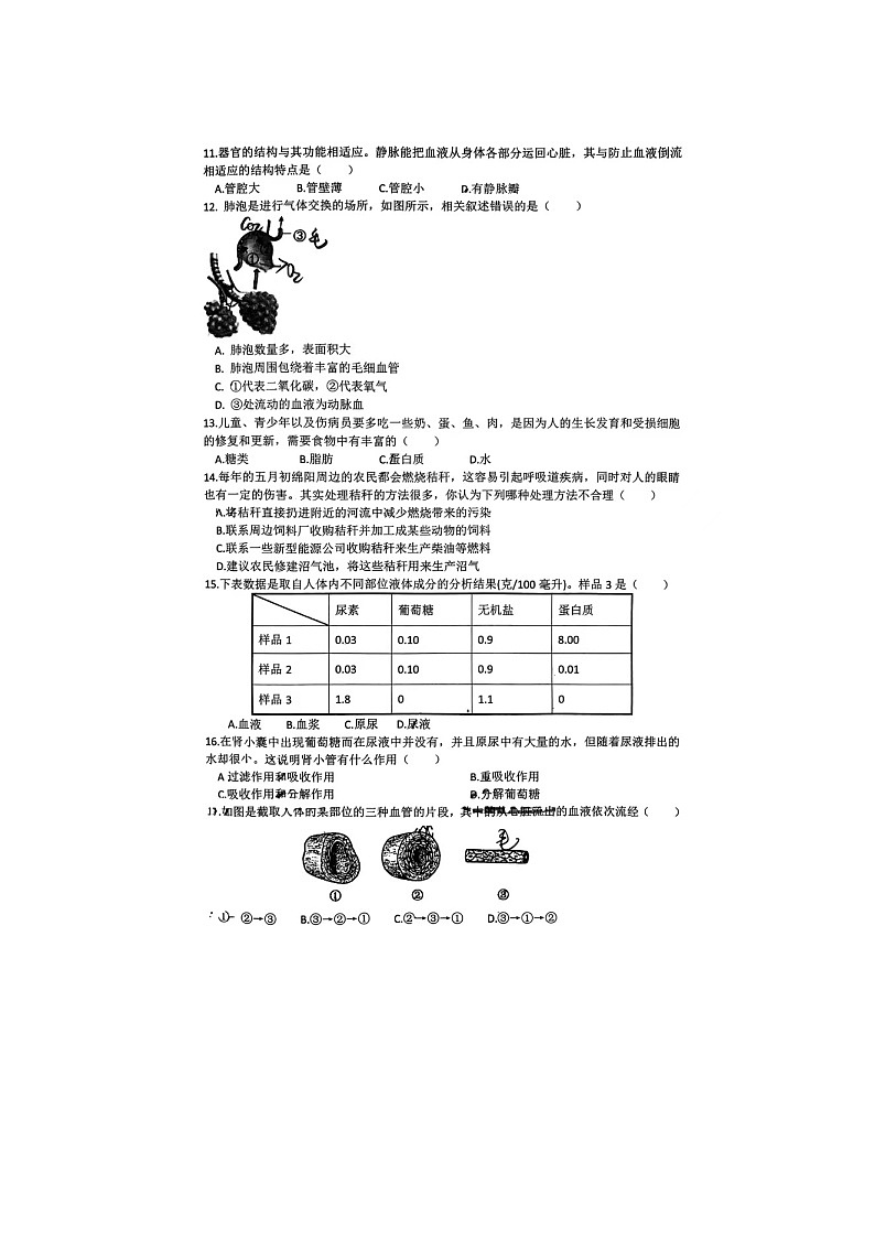 山东省日照市岚山区2023-2024学年七年级下学期7月期末生物试题第2页