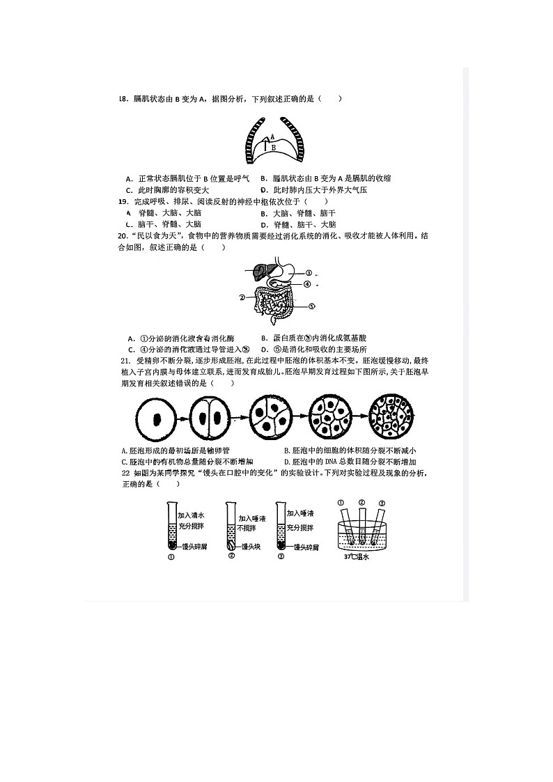 山东省日照市岚山区2023-2024学年七年级下学期7月期末生物试题第3页