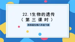 苏科版生物八年级下册 22.1.3 生物的遗传（第三课时）课件+素材