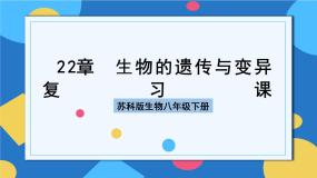 苏科版生物八年级下册  第22章 生物的遗传与变异（章节复习课件）