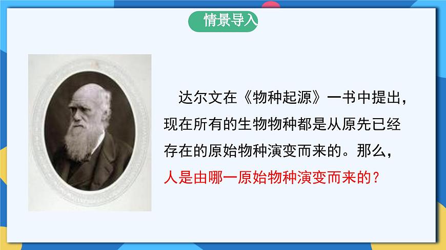 蘇科版生物八年級(jí)下冊(cè)  23.4 人類(lèi)的起源和進(jìn)化 課件第3頁(yè)