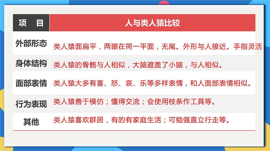 蘇科版生物八年級(jí)下冊(cè)  23.4 人類(lèi)的起源和進(jìn)化 課件第8頁(yè)