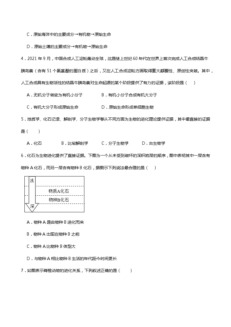 苏科版生物八年级下册  第23章 生物的进化(章末测试)(原卷版)第2页