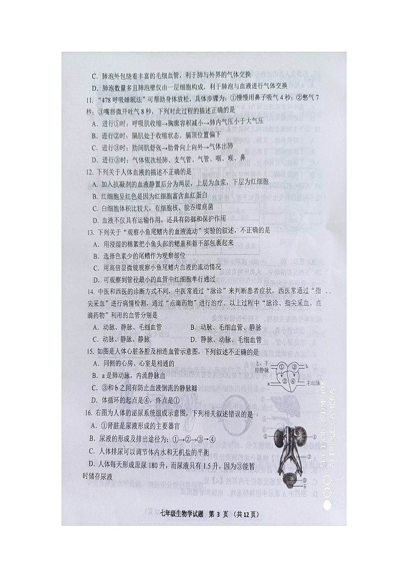 山东省青岛市胶州市2023-2024学年七年级下学期期末考试生物试题第3页