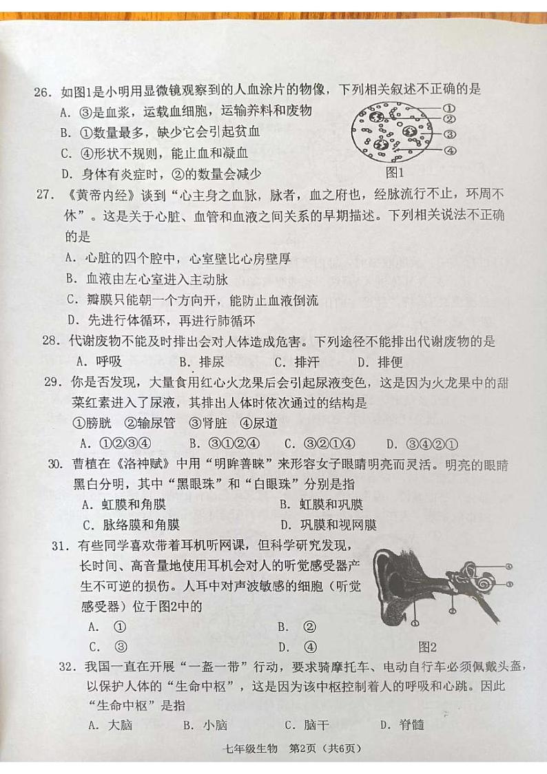 广西玉林市博白县2023--2024学年七年级下学期期末生物试题02