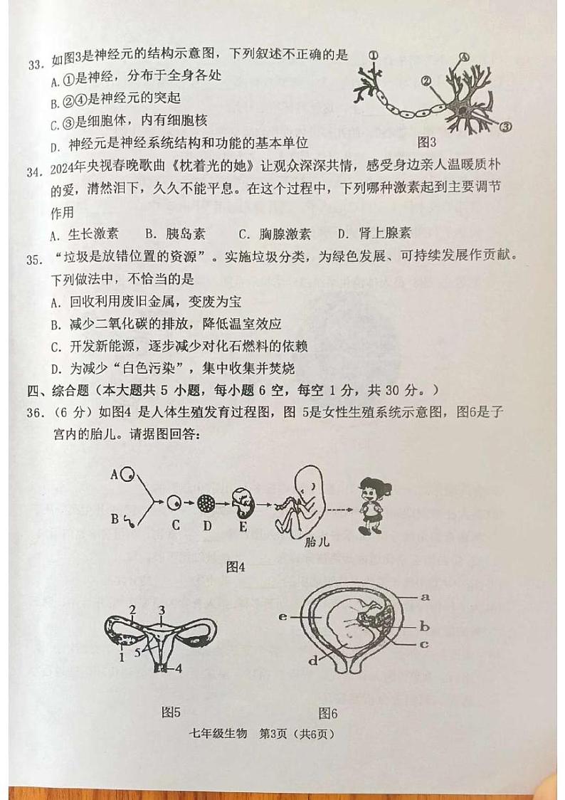 广西玉林市博白县2023--2024学年七年级下学期期末生物试题03