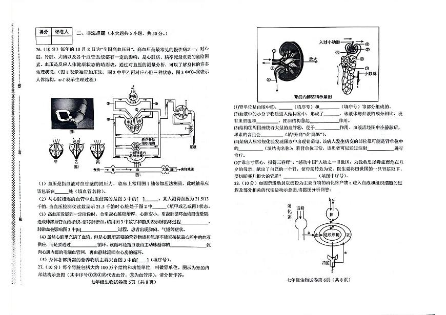 河北省邯鄲市經(jīng)濟(jì)技術(shù)開發(fā)區(qū)2023-2024學(xué)年七年級下學(xué)期生物期末試卷第3頁