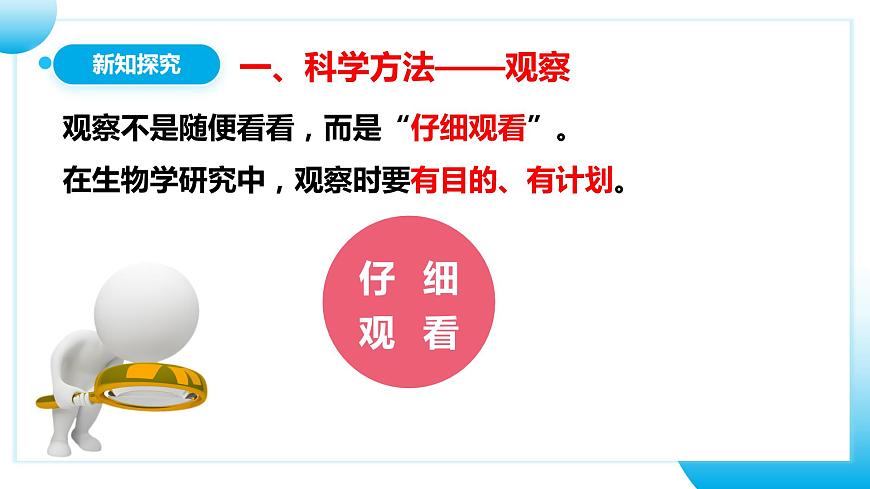人教版初中生物七年級(jí)上冊(cè)1.1.1《觀察周邊環(huán)境中的生物》課件第6頁(yè)