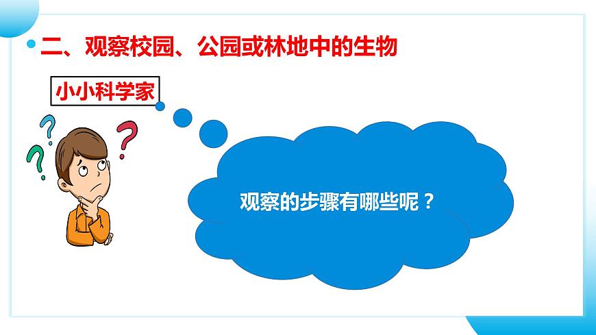 人教版初中生物七年級(jí)上冊(cè)1.1.1《觀察周邊環(huán)境中的生物》課件第8頁(yè)