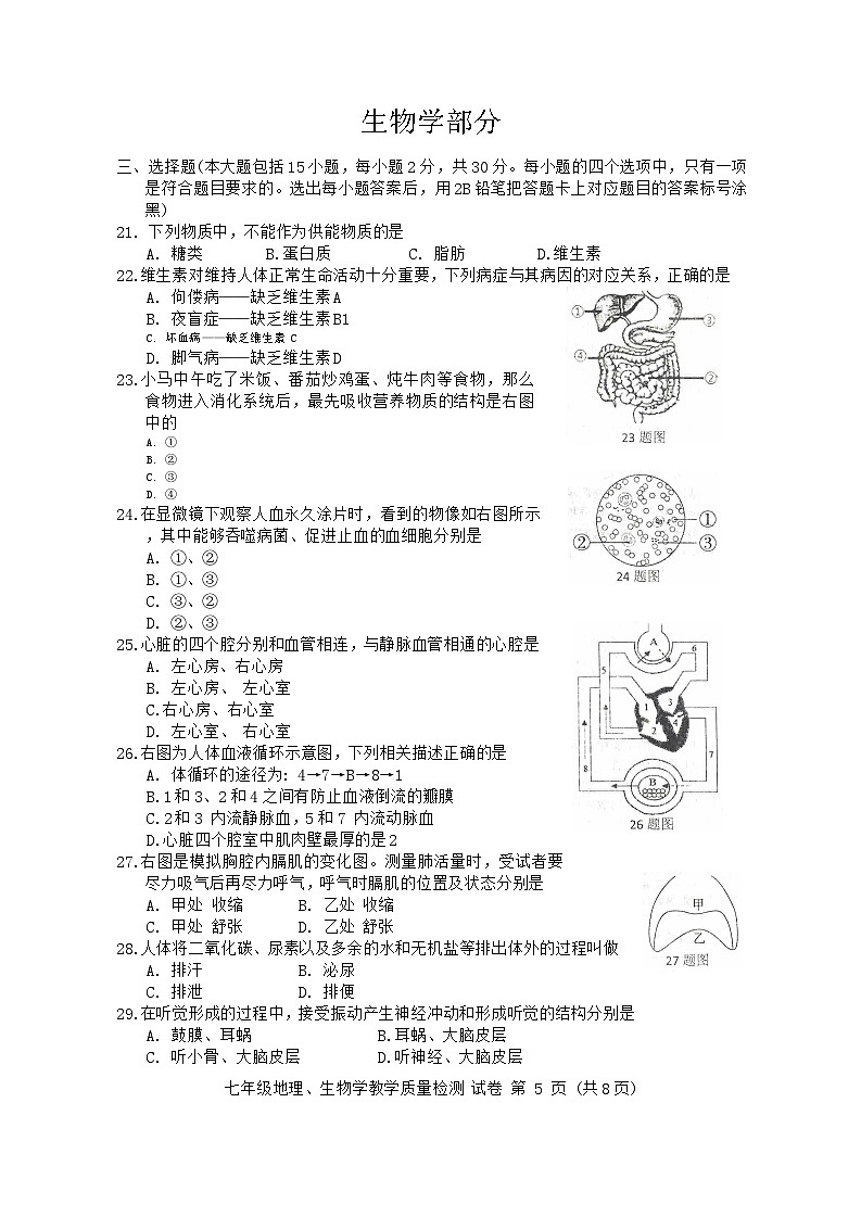 广西防城港市2023-2024学年七年级下学期期末考试生物试卷第1页
