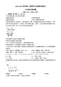 山东省德州市夏津县双语中学2023-2024学年七年级下学期期末考试生物试题(无答案)