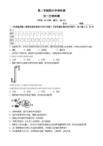 山东省泰安市泰山区2023-2024学年七年级下学期期末考试生物试题