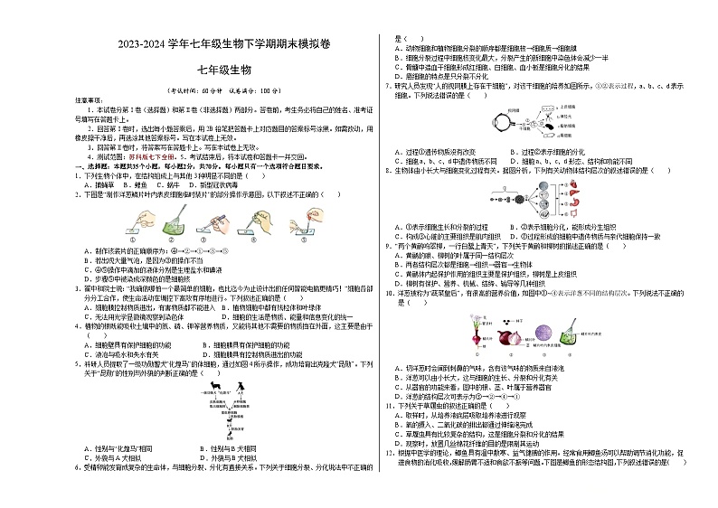 2023-2024学年初中下学期七年级生物期末模拟卷(考试版A3)【七下全册】(苏科版)第1页